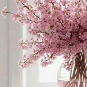 ヒメ日記 2026/04/01 00:18 投稿 ねい マドンナSANSAIN