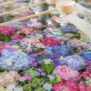 ヒメ日記 2026/06/01 13:09 投稿 ねい マドンナSANSAIN