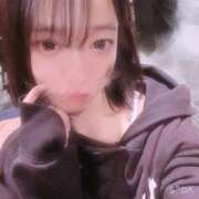 ヒメ日記 2025/11/26 07:09 投稿 あみ アラカルト