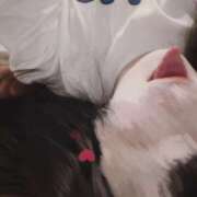 ヒメ日記 2025/05/18 03:10 投稿 雪乃(ゆきの)♥完全未経験美女 美魔女コレクション