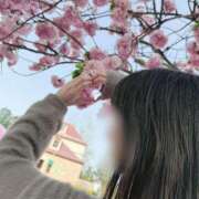 ヒメ日記 2025/05/22 13:45 投稿 雪乃(ゆきの)♥完全未経験美女 美魔女コレクション