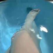 ヒメ日記 2025/05/30 03:20 投稿 雪乃(ゆきの)♥完全未経験美女 美魔女コレクション