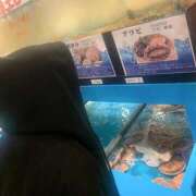 ヒメ日記 2025/06/11 03:27 投稿 雪乃(ゆきの)♥完全未経験美女 美魔女コレクション