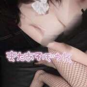 ヒメ日記 2025/10/23 09:27 投稿 雪乃(ゆきの)♥完全未経験美女 美魔女コレクション