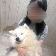 ヒメ日記 2025/12/02 04:16 投稿 雪乃(ゆきの)♥完全未経験美女 美魔女コレクション