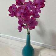 ヒメ日記 2025/09/30 13:01 投稿 ミナト マテリアル