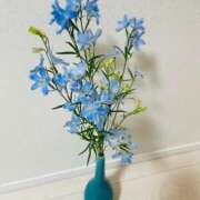 ヒメ日記 2025/11/02 21:01 投稿 ミナト マテリアル