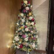 ヒメ日記 2025/11/14 13:31 投稿 ミナト マテリアル