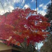 ヒメ日記 2025/11/29 23:16 投稿 ミナト マテリアル