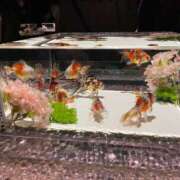 ヒメ日記 2025/11/30 22:16 投稿 ミナト マテリアル