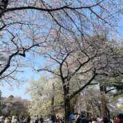 ヒメ日記 2026/03/31 08:31 投稿 ミナト マテリアル