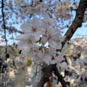 ミナト 今月のお礼?? マテリアル