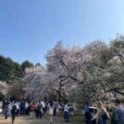 ミナト 今月の予定?? マテリアル