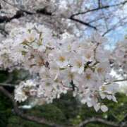 ミナト 忙しいあなたに?? マテリアル