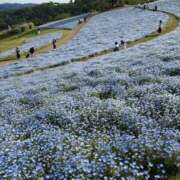 ヒメ日記 2026/05/23 13:46 投稿 ミナト マテリアル