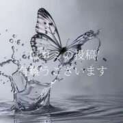 ヒメ日記 2025/09/05 14:51 投稿 ひより♦PREMIUM Blue Moon