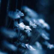 ヒメ日記 2025/11/08 10:03 投稿 ひより♦PREMIUM Blue Moon