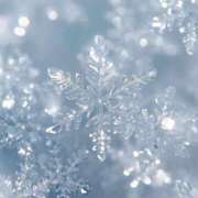 ひより♦PREMIUM 🧊🧊🧊 Blue Moon