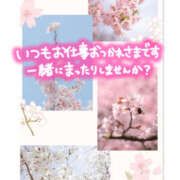 ヒメ日記 2026/03/12 15:54 投稿 あずみ 越谷熟女デリヘル マダムエプロン