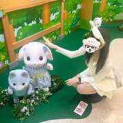 ヒメ日記 2025/06/08 18:39 投稿 るい ビギナーズ東京