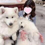 るい 急遽明日！♡ ビギナーズ東京