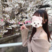 ヒメ日記 2026/04/26 10:25 投稿 るい ビギナーズ東京