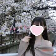 ヒメ日記 2026/04/29 12:13 投稿 るい ビギナーズ東京