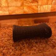 ヒメ日記 2025/01/20 20:38 投稿 保坂(ほさか) 人妻出逢い会 百合の園 山の手本店