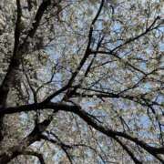 ヒメ日記 2025/03/28 11:48 投稿 まりあ 池袋人妻城