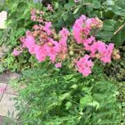 ヒメ日記 2025/08/10 22:40 投稿 くらら 奥鉄オクテツ東京店（デリヘル市場）