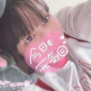 ヒメ日記 2025/04/16 12:55 投稿 ふう 埼玉本庄ちゃんこ