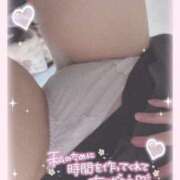 ヒメ日記 2025/04/17 17:24 投稿 ふう 埼玉本庄ちゃんこ