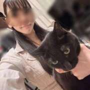 ヒメ日記 2026/03/24 19:02 投稿 あずさ 千葉泡洗体デラックスエステ