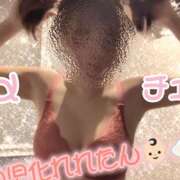 ヒメ日記 2025/03/30 01:08 投稿 れれ 恋愛マット同好会