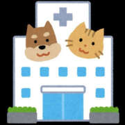 ヒメ日記 2025/04/28 12:18 投稿 れれ 恋愛マット同好会