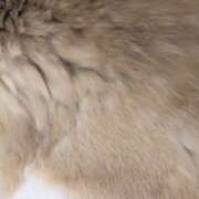 ヒメ日記 2025/04/29 16:38 投稿 れれ 恋愛マット同好会