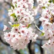 ヒメ日記 2025/05/09 22:18 投稿 れれ 恋愛マット同好会