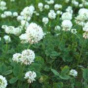 ヒメ日記 2025/06/29 08:38 投稿 れれ 恋愛マット同好会