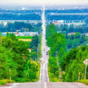 ヒメ日記 2025/07/23 15:08 投稿 れれ 恋愛マット同好会