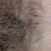 ヒメ日記 2025/09/26 13:28 投稿 れれ 恋愛マット同好会