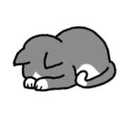 ヒメ日記 2025/12/23 08:18 投稿 れれ 恋愛マット同好会