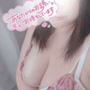 ヒメ日記 2025/06/08 11:06 投稿 みつき 栃木宇都宮ちゃんこ