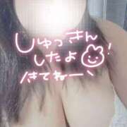 ヒメ日記 2025/10/14 11:05 投稿 みつき 栃木宇都宮ちゃんこ