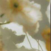 ヒメ日記 2025/07/18 22:08 投稿 ほの【精一杯のご奉仕♡】 LIPS(リップス)