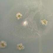 ヒメ日記 2025/07/20 19:06 投稿 ほの【精一杯のご奉仕♡】 LIPS(リップス)