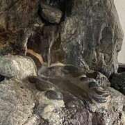 ヒメ日記 2025/02/24 19:04 投稿 ねお【魅力的な愛嬌と笑顔♡】 LIPS(リップス)