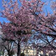 ヒメ日記 2025/05/06 20:32 投稿 ねお【魅力的な愛嬌と笑顔♡】 LIPS(リップス)