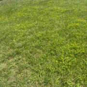 ヒメ日記 2025/05/12 20:06 投稿 ねお【魅力的な愛嬌と笑顔♡】 LIPS(リップス)