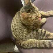 ヒメ日記 2025/07/30 10:04 投稿 ねお【魅力的な愛嬌と笑顔♡】 LIPS(リップス)