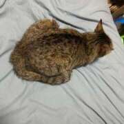 ヒメ日記 2025/08/08 17:06 投稿 ねお【魅力的な愛嬌と笑顔♡】 LIPS(リップス)